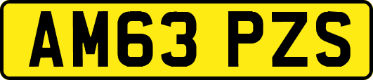 AM63PZS