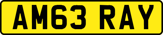 AM63RAY