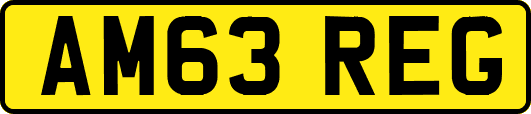 AM63REG
