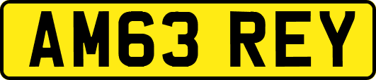 AM63REY
