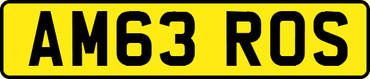 AM63ROS