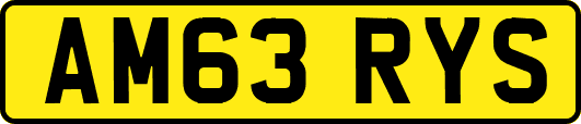 AM63RYS
