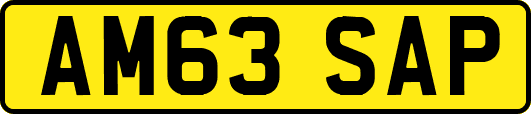 AM63SAP