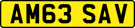 AM63SAV