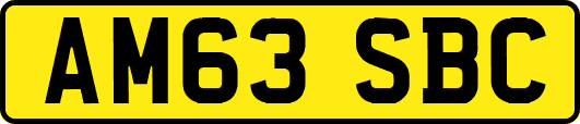 AM63SBC