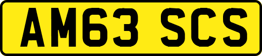 AM63SCS