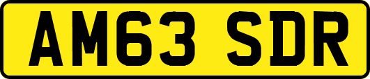 AM63SDR