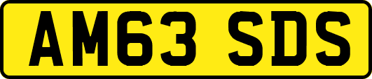 AM63SDS
