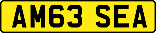 AM63SEA