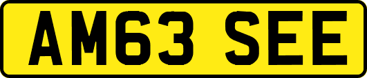 AM63SEE