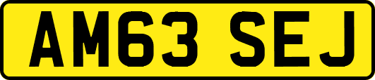 AM63SEJ