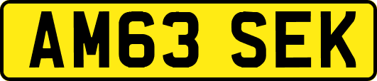 AM63SEK