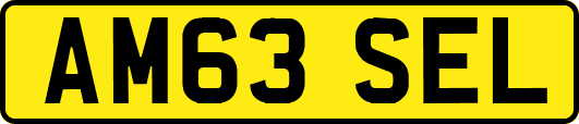 AM63SEL