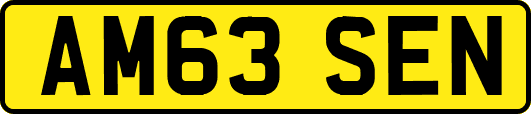 AM63SEN