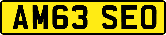 AM63SEO