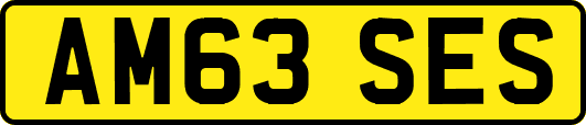 AM63SES