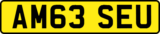 AM63SEU