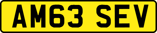 AM63SEV