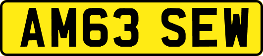 AM63SEW