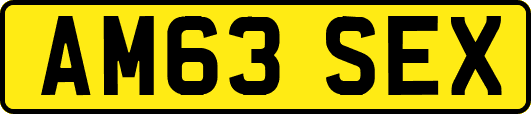 AM63SEX