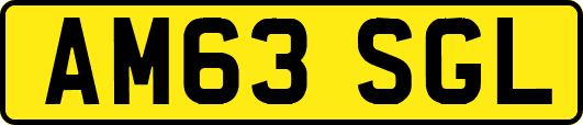 AM63SGL