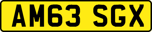 AM63SGX