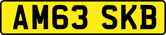 AM63SKB