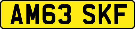 AM63SKF