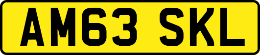 AM63SKL
