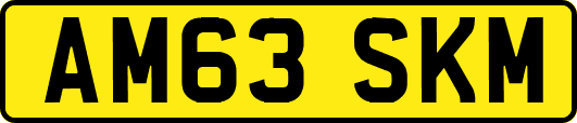 AM63SKM