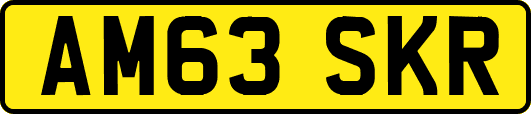 AM63SKR