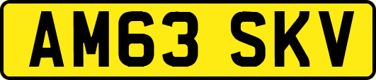 AM63SKV