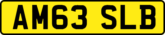 AM63SLB
