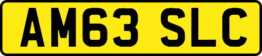 AM63SLC