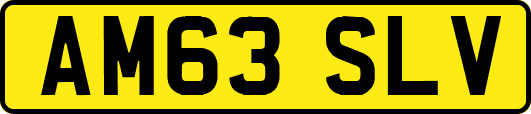 AM63SLV