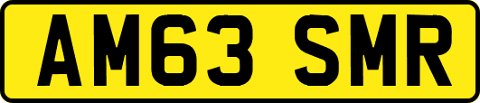 AM63SMR