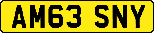 AM63SNY
