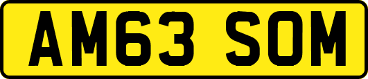 AM63SOM