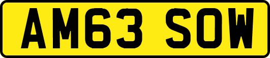 AM63SOW