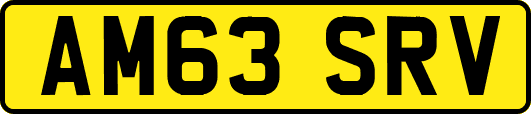 AM63SRV