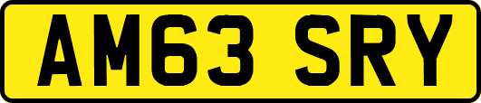 AM63SRY
