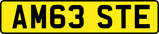 AM63STE