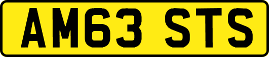 AM63STS