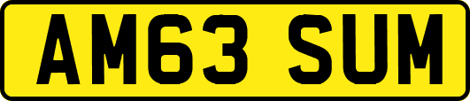 AM63SUM
