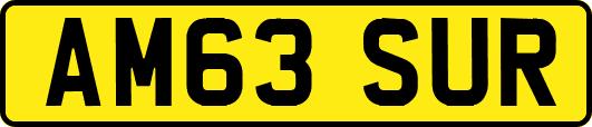 AM63SUR