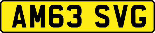 AM63SVG