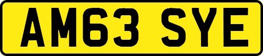 AM63SYE