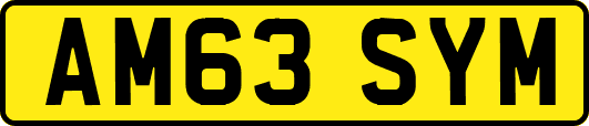 AM63SYM