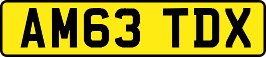 AM63TDX