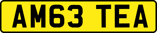AM63TEA
